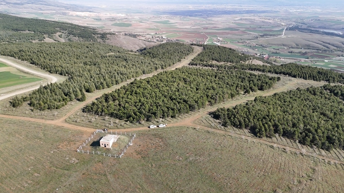 Deniz Oktay cinayeti zanlısı önce boğmuş sonra 2 gün art arda yakmış