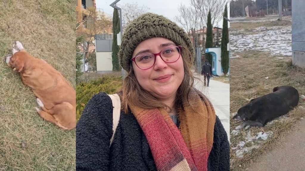 Odunpazarı’nda köpek tartışmasına polis çağırdılar