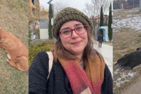 Odunpazarı’nda köpek tartışmasına polis çağırdılar