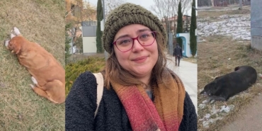 Odunpazarı’nda köpek tartışmasına polis çağırdılar