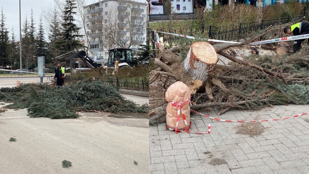 Eskişehir'de şiddetli fırtına sebebiyle ağaçlar devrildi
