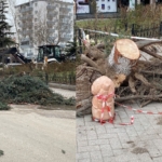 Eskişehir'de şiddetli fırtına sebebiyle ağaçlar devrildi