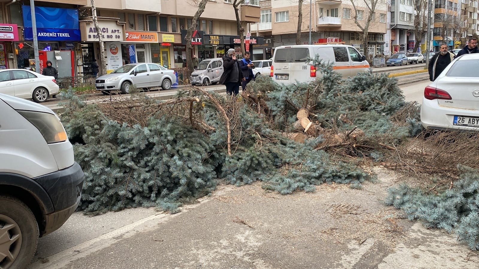 Eskişehir'de şiddetli fırtına sebebiyle ağaçlar devrildi