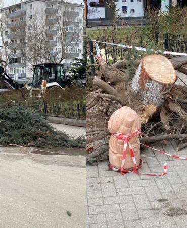 Eskişehir'de şiddetli fırtına sebebiyle ağaçlar devrildi