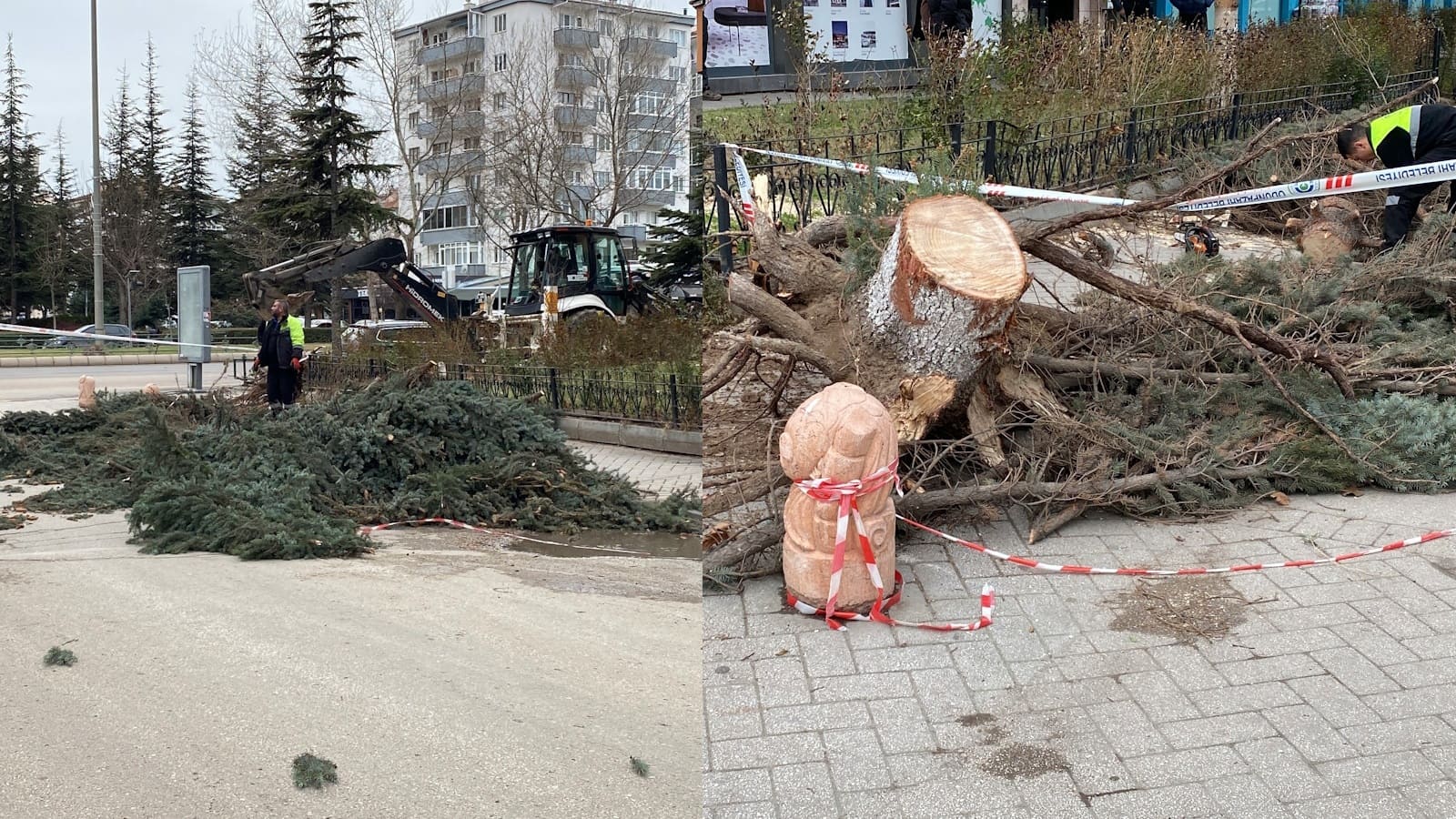 Eskişehir'de şiddetli fırtına sebebiyle ağaçlar devrildi