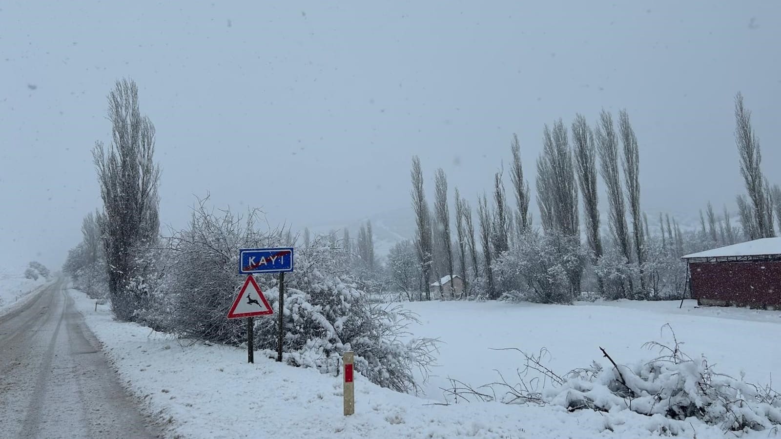 Mihalıççık’ta kar kalınlığı 25 santimetreyi geçti, yollar kapandı