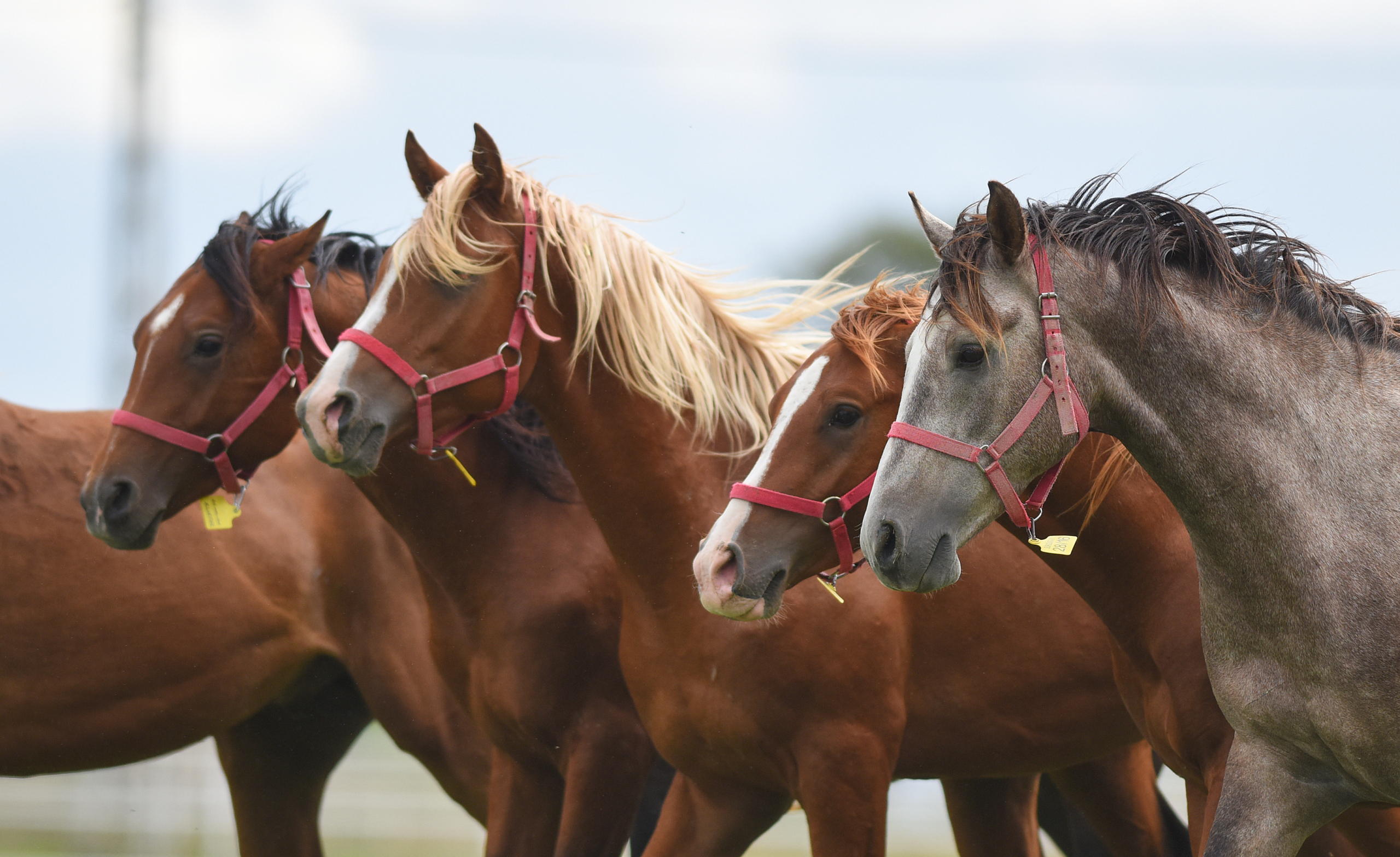 1d1a2a5b-fd5b-4242-9a39-6855f3bcf55c