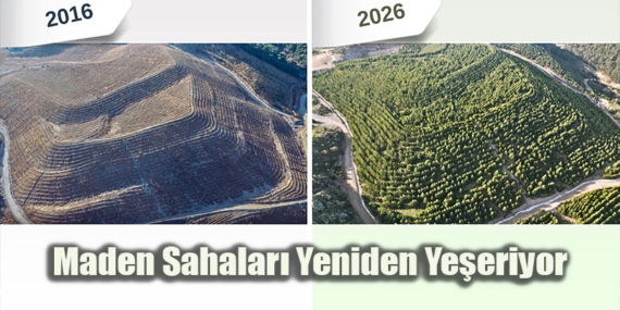 Maden Sahaları Rehabilitasyonla Yeniden Yeşeriyor