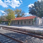 whatsapp-image-2026-03-01-at-113001-1