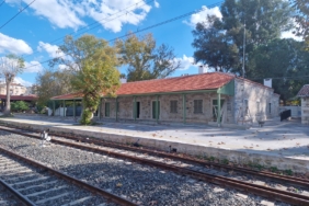 whatsapp-image-2026-03-01-at-113001-1